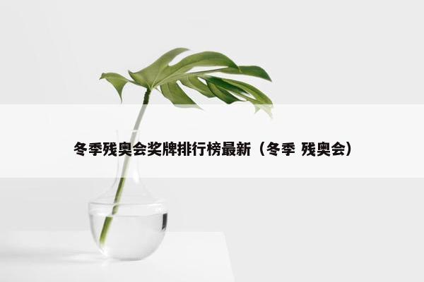 冬季残奥会奖牌排行榜最新（冬季 残奥会）