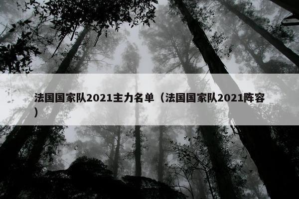 法国国家队2021主力名单（法国国家队2021阵容）