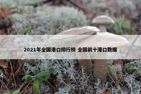 2021年全国港口排行榜 全国前十港口数据