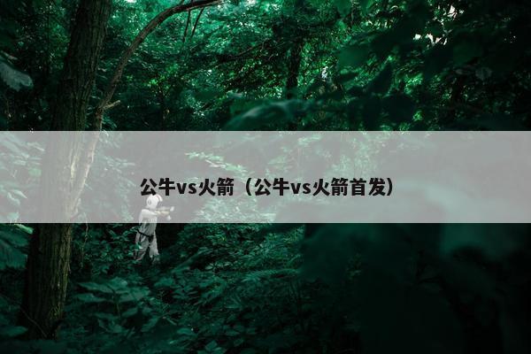 公牛vs火箭（公牛vs火箭首发）