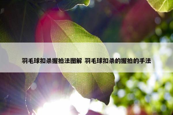 羽毛球扣杀握拍法图解 羽毛球扣杀的握拍的手法