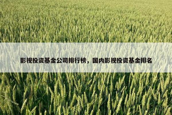 影视投资基金公司排行榜，国内影视投资基金排名