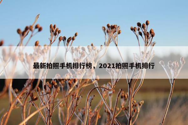 最新拍照手机排行榜，2021拍照手机排行