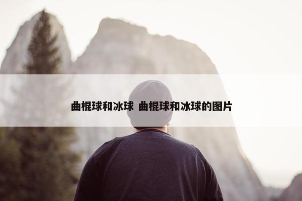 曲棍球和冰球 曲棍球和冰球的图片