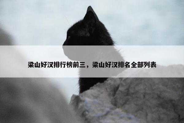 梁山好汉排行榜前三，梁山好汉排名全部列表