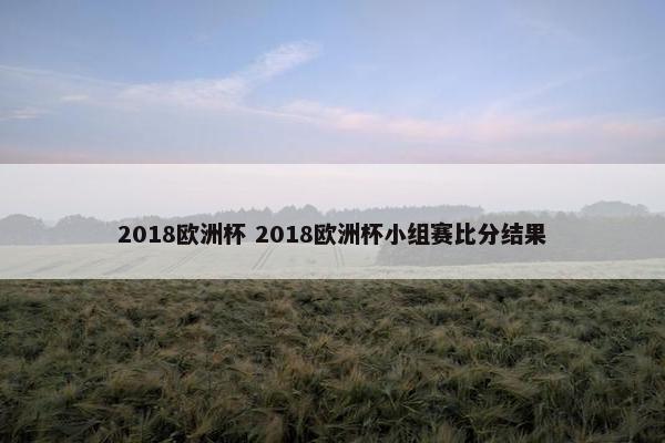 2018欧洲杯 2018欧洲杯小组赛比分结果