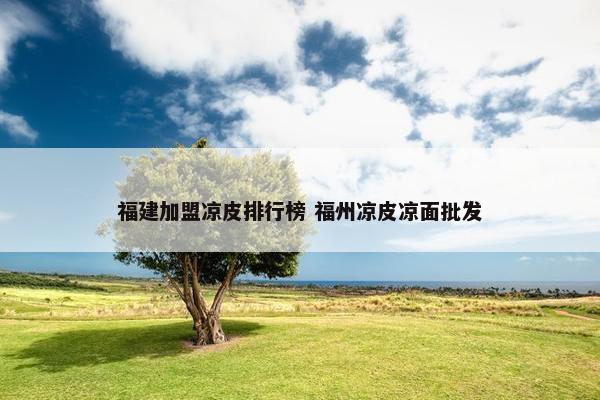 福建加盟凉皮排行榜 福州凉皮凉面批发