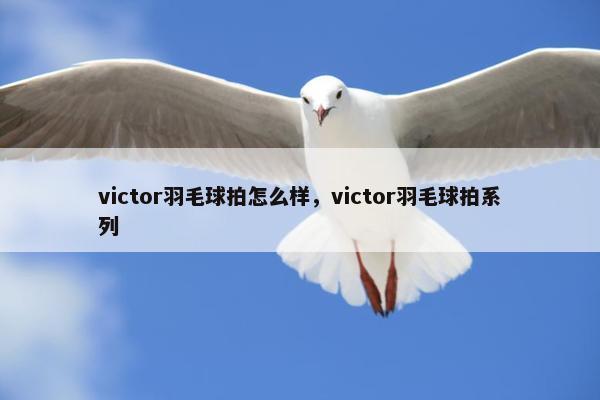 victor羽毛球拍怎么样，victor羽毛球拍系列