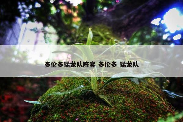 多伦多猛龙队阵容 多伦多 猛龙队