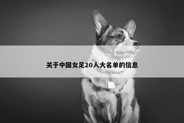 关于中国女足20人大名单的信息