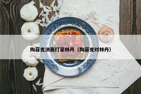 陶菲克决赛打蒙林丹（陶菲克对林丹）