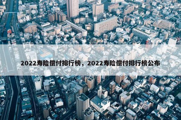 2022寿险偿付排行榜，2022寿险偿付排行榜公布