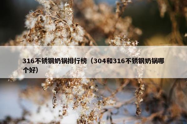 316不锈钢奶锅排行榜（304和316不锈钢奶锅哪个好）