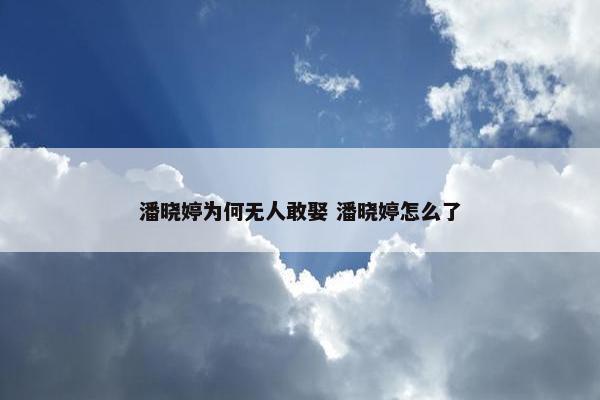 潘晓婷为何无人敢娶 潘晓婷怎么了