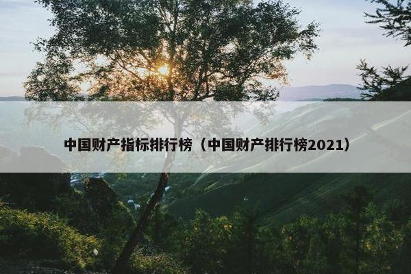 中国财产指标排行榜（中国财产排行榜2021）