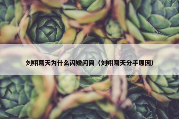 刘翔葛天为什么闪婚闪离（刘翔葛天分手原因）