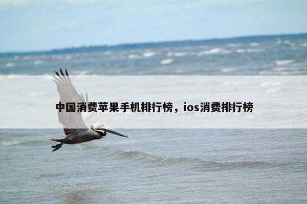 中国消费苹果手机排行榜，ios消费排行榜