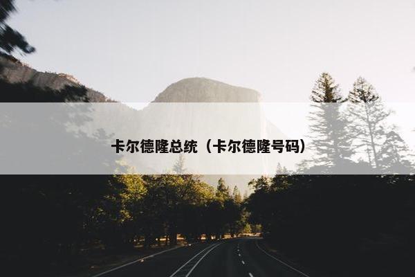 卡尔德隆总统（卡尔德隆号码）