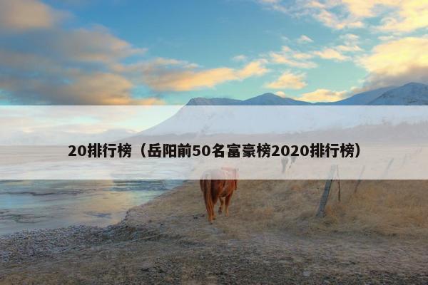 20排行榜（岳阳前50名富豪榜2020排行榜）