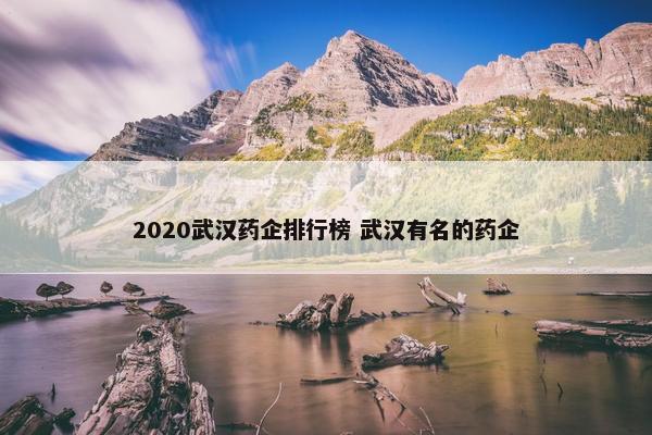 2020武汉药企排行榜 武汉有名的药企