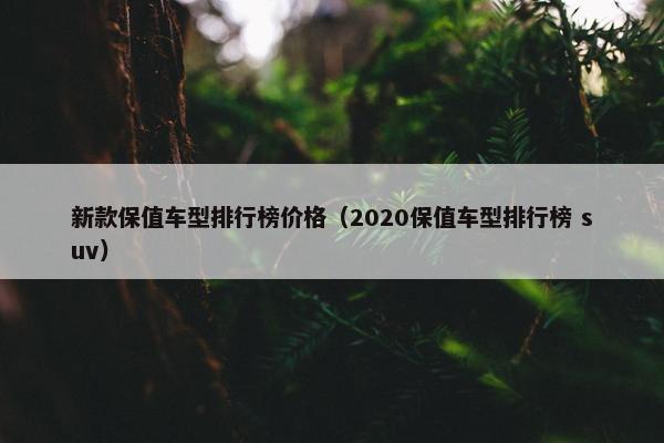 新款保值车型排行榜价格（2020保值车型排行榜 suv）