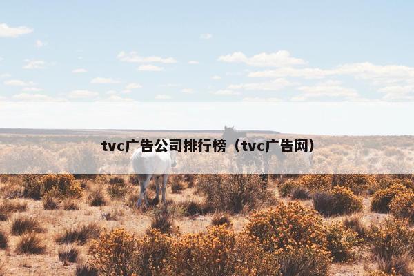 tvc广告公司排行榜（tvc广告网）