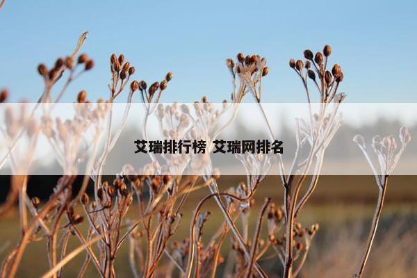 艾瑞排行榜 艾瑞网排名