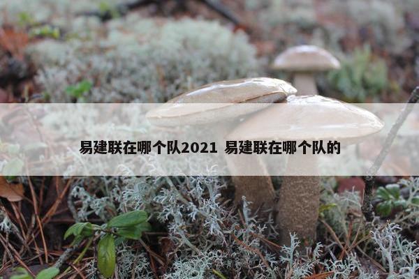 易建联在哪个队2021 易建联在哪个队的