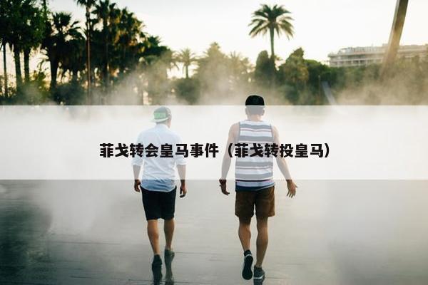 菲戈转会皇马事件（菲戈转投皇马）