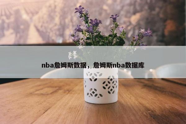 nba詹姆斯数据，詹姆斯nba数据库