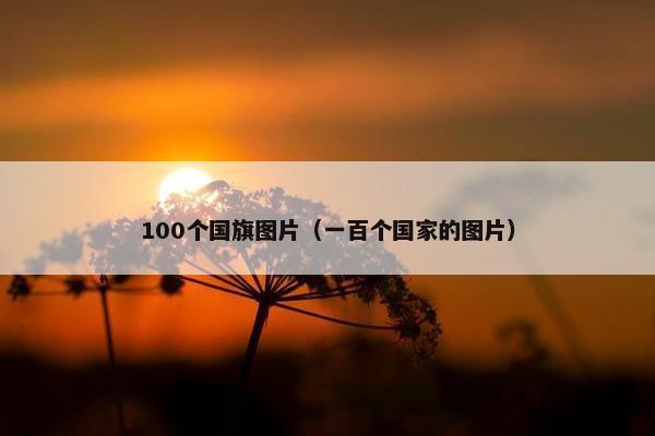 100个国旗图片（一百个国家的图片）