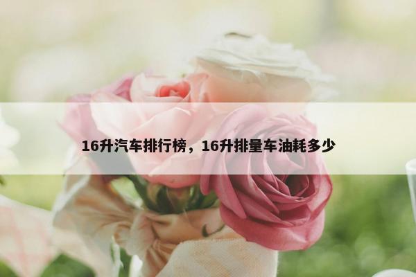 16升汽车排行榜，16升排量车油耗多少