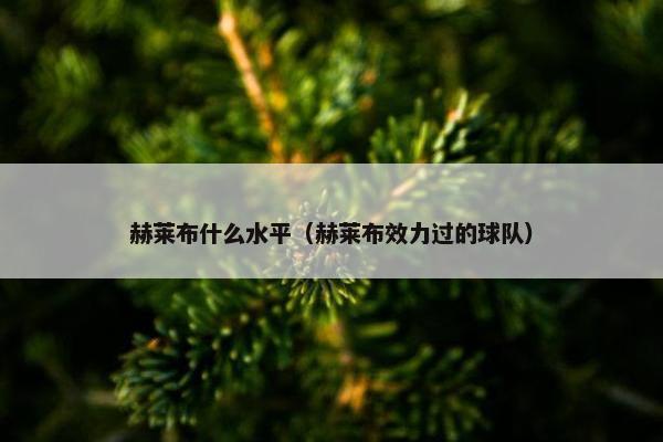 赫莱布什么水平（赫莱布效力过的球队）