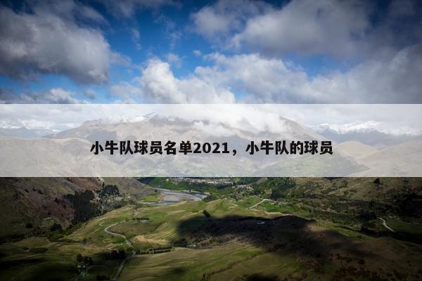 小牛队球员名单2021，小牛队的球员