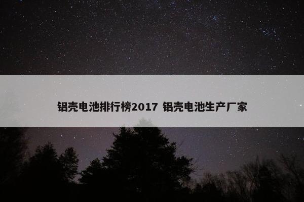 铝壳电池排行榜2017 铝壳电池生产厂家