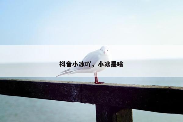 抖音小冰吖，小冰是啥