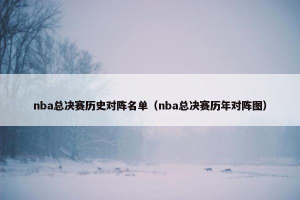 nba总决赛历史对阵名单（nba总决赛历年对阵图）