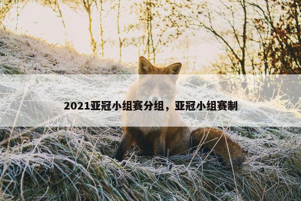 2021亚冠小组赛分组，亚冠小组赛制