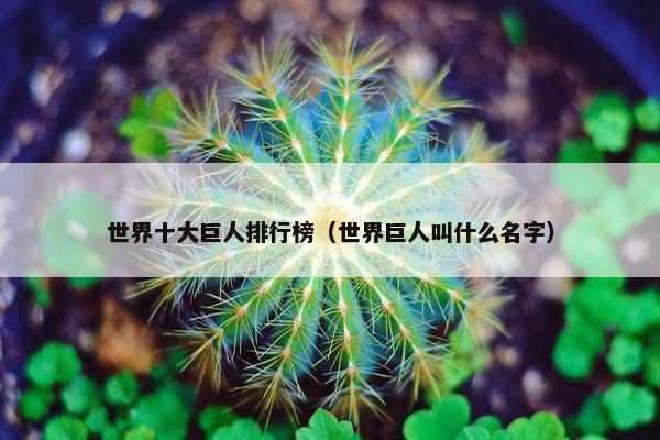 世界十大巨人排行榜（世界巨人叫什么名字）