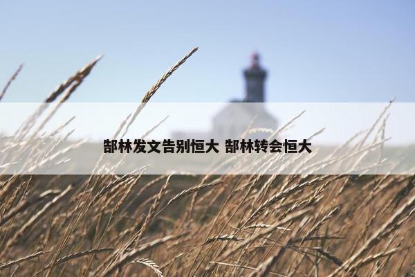 郜林发文告别恒大 郜林转会恒大