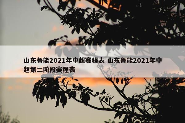 山东鲁能2021年中超赛程表 山东鲁能2021年中超第二阶段赛程表