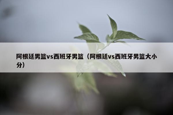 阿根廷男篮vs西班牙男篮（阿根廷vs西班牙男篮大小分）