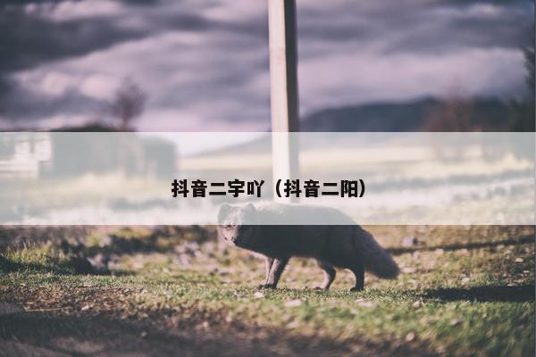 抖音二宇吖（抖音二阳）