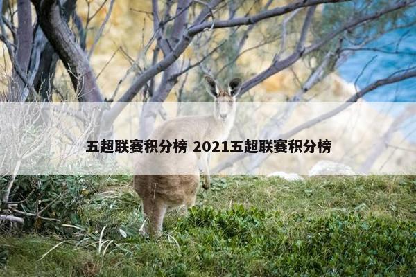 五超联赛积分榜 2021五超联赛积分榜