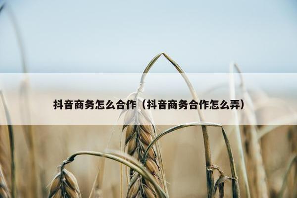 抖音商务怎么合作（抖音商务合作怎么弄）