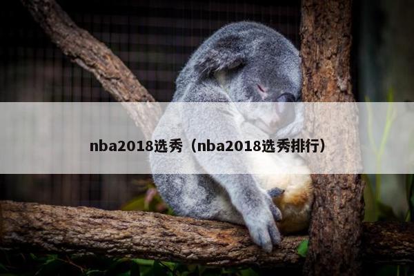 nba2018选秀（nba2018选秀排行）