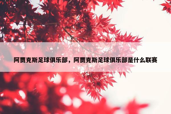 阿贾克斯足球俱乐部，阿贾克斯足球俱乐部是什么联赛