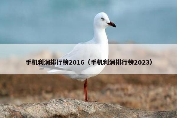 手机利润排行榜2016（手机利润排行榜2023）