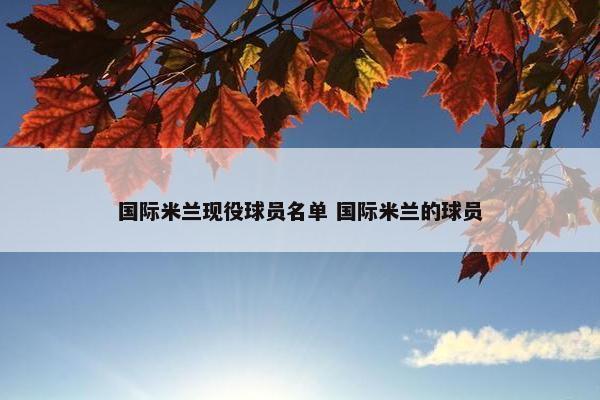 国际米兰现役球员名单 国际米兰的球员