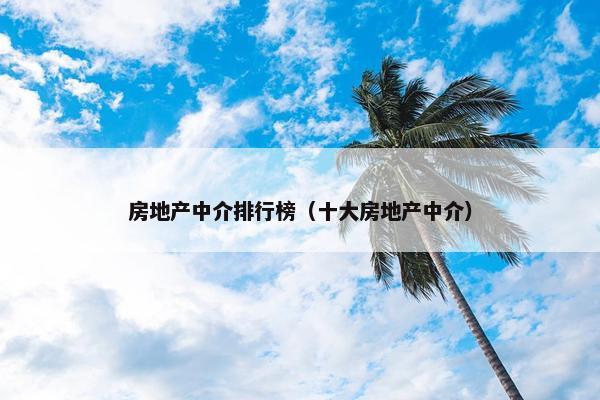 房地产中介排行榜（十大房地产中介）